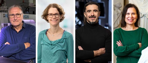 Vier ERC Synergy Grants für Forschende der Universität Freiburg