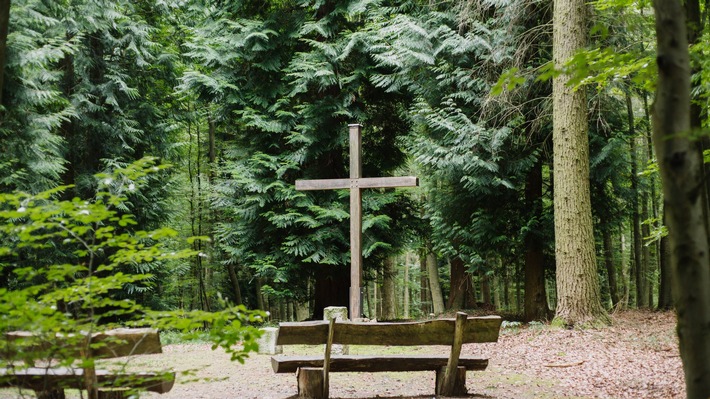 Zehn Jahre FriedWald Waldhessen