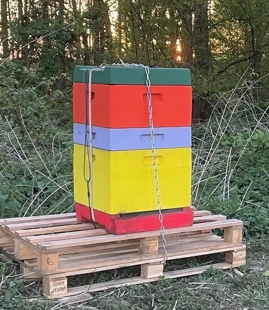 POL-KLE: Wachtendonk - Bienenstock mit Bienenvolk gestohlen