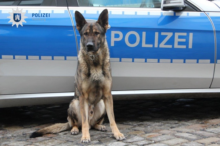POL-HH: 170927-3. Diensthund Didier spürt Einbrecher auf - eine vorläufige Festnahme
