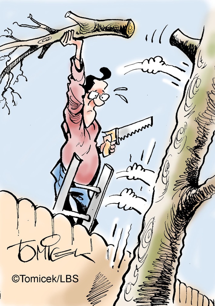Vorsicht bei alten Bäumen! / Beklagter hatte 100-jährige Linden des Nachbarn zurückstutzen lassen
