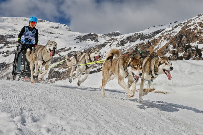 Emotionales Comeback für Mensch und Tier beim Schlittenhunde-Weltcup in Unterjoch - Erstmals seit 2018 wieder volles Programm