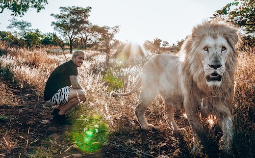 BREAKING NEWS: DEAN SCHNEIDER LIBERA LA MANADA DE LEONES