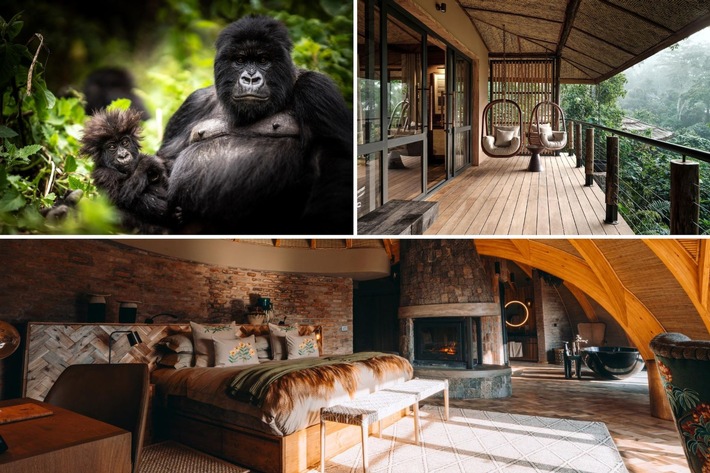Signature Kollection Travel erweitert Portfolio um exklusive Gorilla-Safaris mit A&K Sanctuary und Wilderness