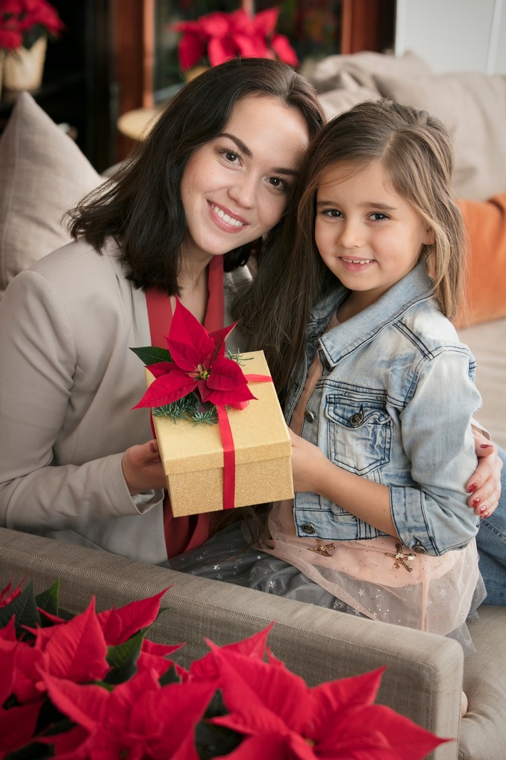 Weihnachtssterne "to go": Schnelle Geschenkideen mit dem Weihnachtsstern