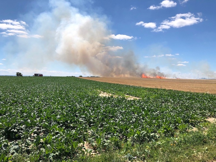 POL-PDLD: Rülzheim - Brand einer landwirtschaftlichen Fläche