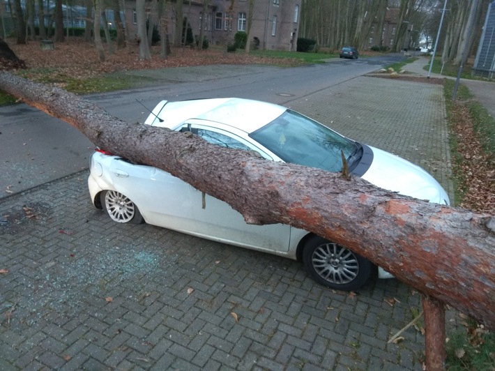 FW-KLE: Baum kracht im Sturm auf Autodach