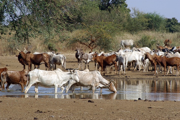 Global Forum for Food and Agriculture 2018: "Die Zukunft der tierischen Erzeugung gestalten - nachhaltig, verantwortungsbewusst, leistungsfähig"