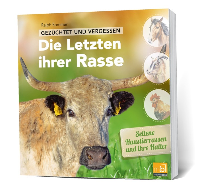 Ein Funke Hoffnung für "die Letzten ihrer Rasse"?