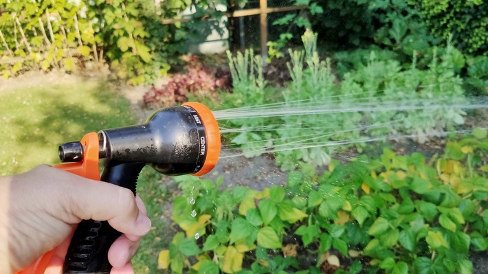 BdSt-Tipp für heiße Tage: Wasseruhr für den Garten spart Geld