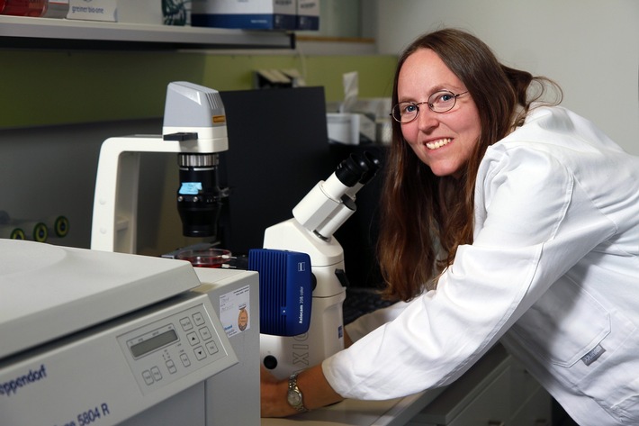 Zucker treibt Zellen nicht nur energetisch an – Details zur Beweglichkeit von Körperzellen aufgedeckt