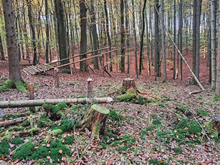 POL-MR: Fichten gefällt und Gebilde gebaut + Garagen besprüht + Lampe und Schrank entwendet