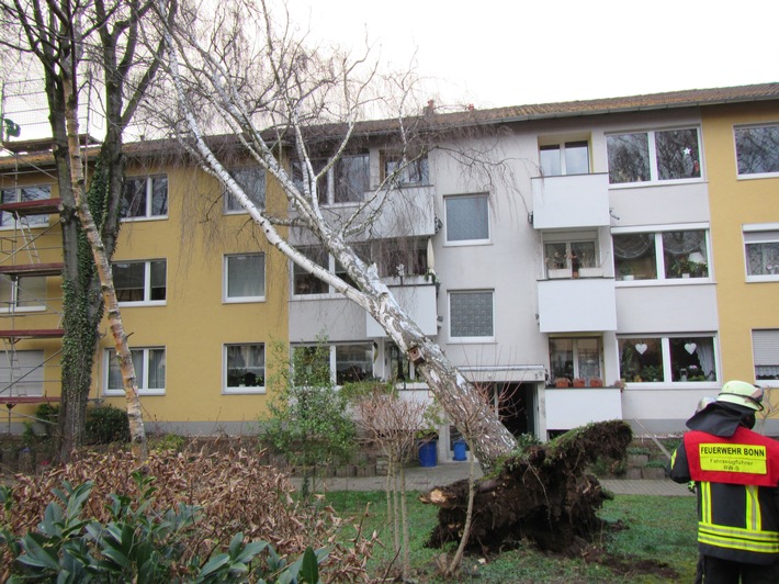 FW-BN: TH 2 Sturmschaden - Baum auf Wohngebäude