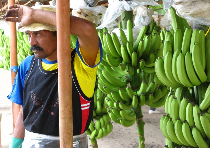 claro fair trade AG: Martin Dahinden und Georges Wenger jurieren Fotowettbewerb zum Fairen Handel