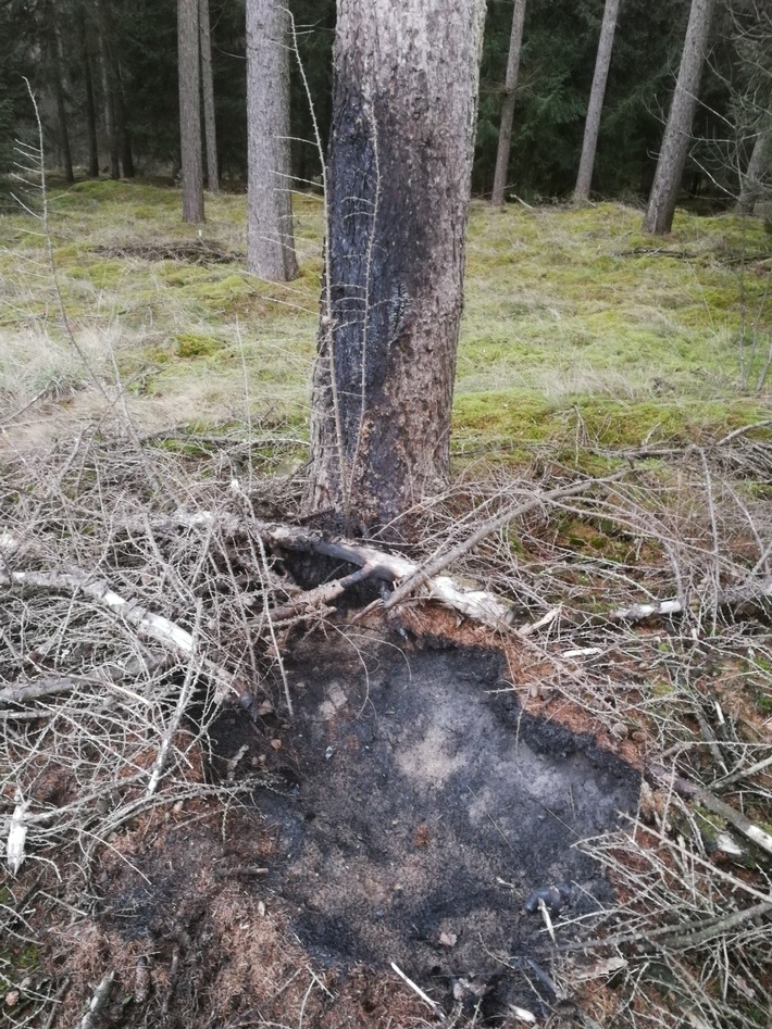 POL-EL: Haselünne - Täter zerstören einen Ameisenhaufen mittels Feuer - Zeugen gesucht