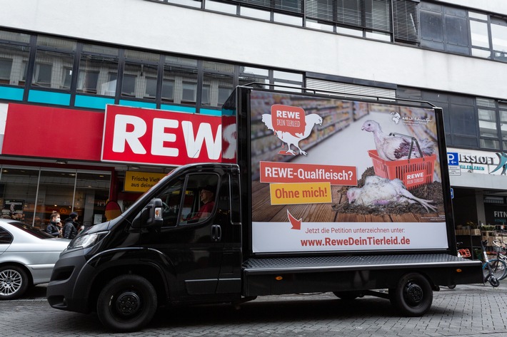 Termin: Protest vor Rewe-Sitz in Teltow "Rewe-Qualfleisch? Ohne mich!" am 20. Mai, 11 Uhr