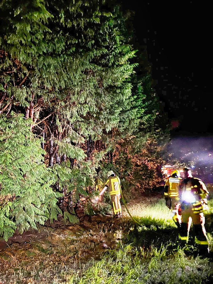 FW Grevenbroich: Stundenlange Löscharbeiten in brennender Grünanlage / Brand zahlreicher Bäume fordert Einsatzkräfte bis weit nach Mitternacht