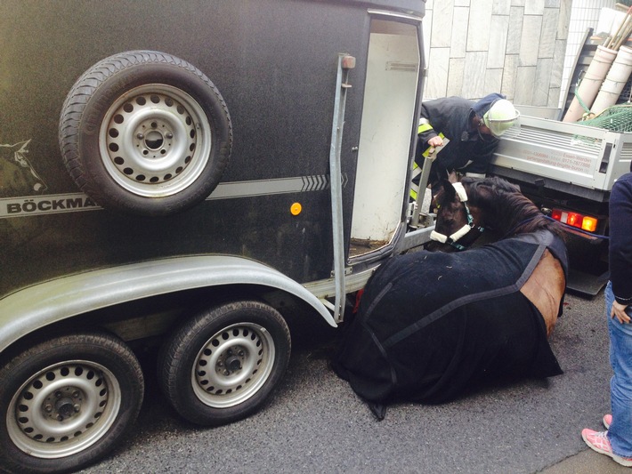 FW-E: Pferd verletzt sich bei Sturz aus fahrendem Anhänger, Tunnel auf der Schützenbahn für 2 Stunden voll gesperrt