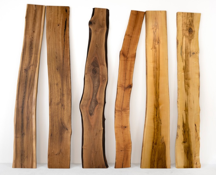 Pressemitteilung: Nouvion setzt im Portfolio auf Holz-Vielfalt mit Eichen-Alternativen