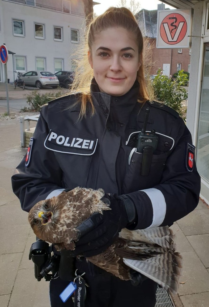 POL-STD: Buxtehuder Polizeibeamten retten geschwächten Bussard