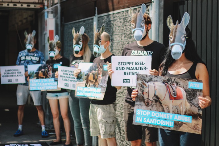Bildmaterial von weltweiten PETA-Appellen an die griechische Regierung: Esel- und Maultierreiten auf Santorini muss verboten werden!