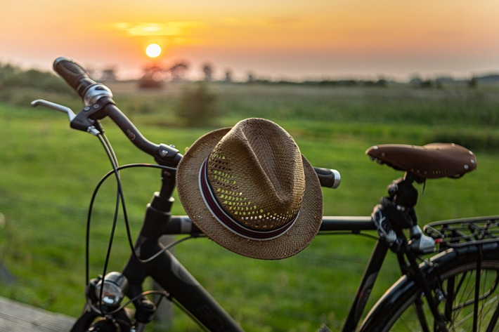 Schleswig-Holstein-Tourismus im August 2021: Höchststand bei den Übernachtungen