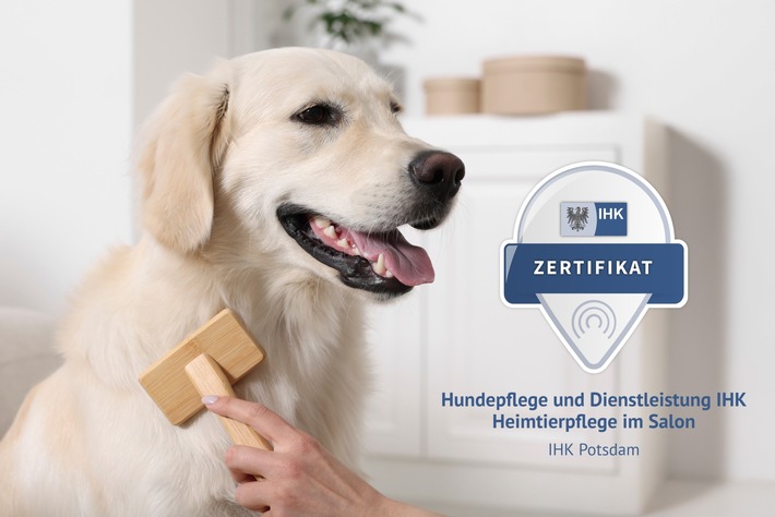 IHK Potsdam und ZZF starten Qualifizierungsangebot für Hundefriseure
