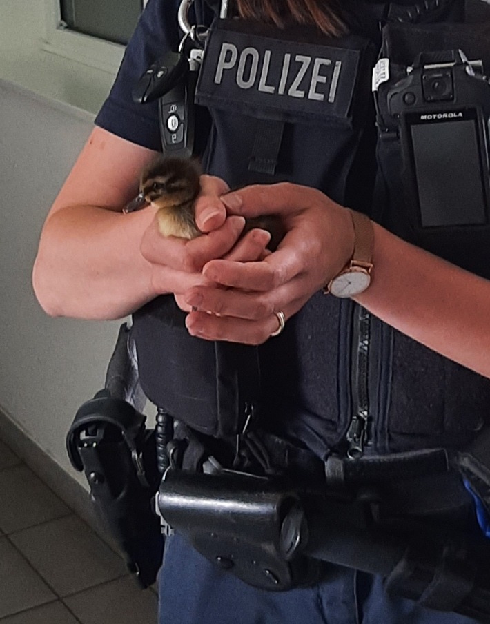 BPOL-KL: Tierschützerin rettet Entenküken im Zug