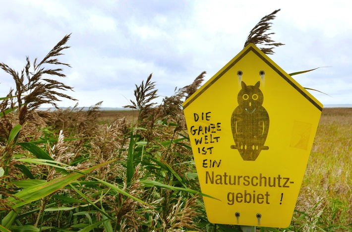 "Vogelperspektiven" am 22. August im SWR und in der ARD Mediathek