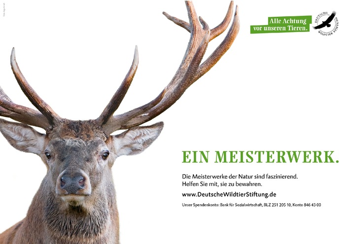 Achtung Wild! Meisterwerke werben für heimische Wildtiere / Deutsche Wildtier Stiftung startet Kampagne