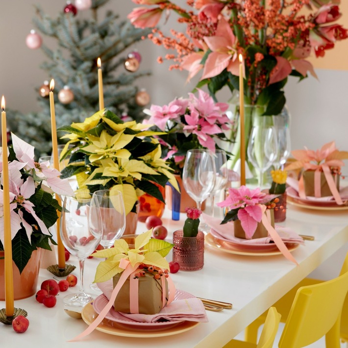 Sternenschmuck für die Festtafel: Tischdekorationen mit Weihnachtssternen