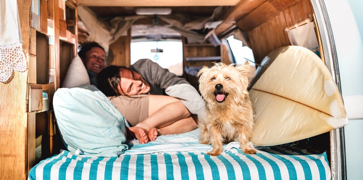Mit dem Hund in den Urlaub: Achtung Leishmaniose! Drei Tipps zum Schutz vor der gefährlichen Reisekrankheit