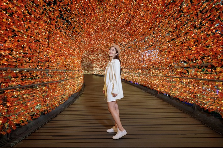 Disney's Fairytale themed Christmas - A must-go event in Asia and Taiwan's top four events pioneered by New Taipei City / Editorial use of this picture is free of charge. Please quote the source: light-bridge-is-one-of-the-most-famous-spot-of-new-taipei-city-christmasland-1.jpg