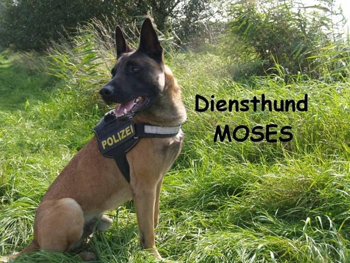 POL-D: Flingern - Diensthund Moses &quot;schnappt&quot; Graffiti-Sprayer - Ermittlungsverfahren eingeleitet