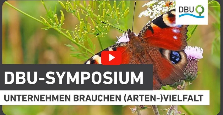 Terminankündigung: DBU-Umweltpreis-Symposium: „Unternehmen brauchen (Arten-)Vielfalt – Auf dem Weg zu einer naturverträglichen Wirtschaft“ am 28. Oktober 2023