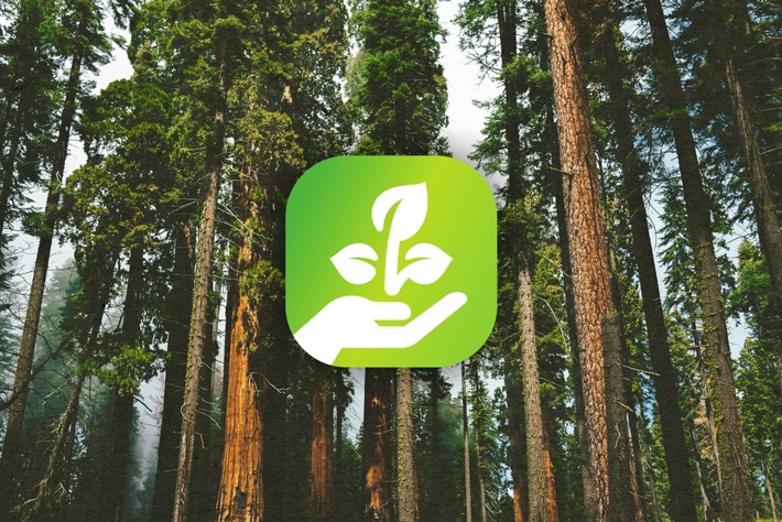 Communiqué de presse : La reforestation de plus de 332 terrains de football pour soutenir la mobilité durable