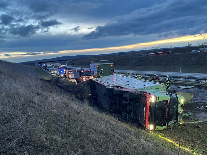 API-TH: Kühe auf der Autobahn