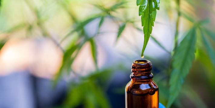 Aktuelle Forschungsergebnisse zur vielseitigen Anwendbarkeit von Cannabidiol (CBD) als Medizin / Weiterer Text über ots und www.presseportal.de/nr/154155 / Die Verwendung dieses Bildes ist für redaktionelle Zwecke unter Beachtung ggf. genannter Nutzungsbedingungen honorarfrei. Veröffentlichung bitte mit Bildrechte-Hinweis.
