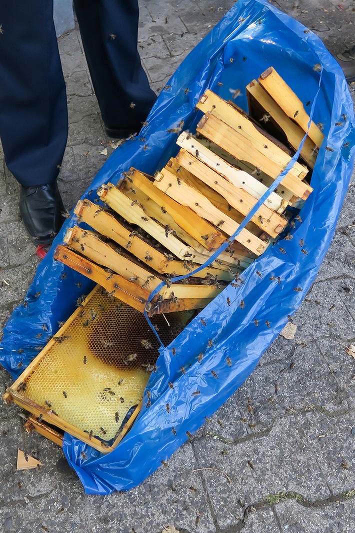 POL-GI: Bienenwaben in Weststadt entsorgt - Polizei sucht nach Zeugen