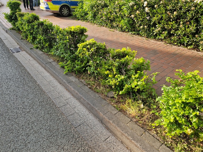 POL-OL: ++Verkehrsunfallflucht im Stadtgebiet von Westerstede++