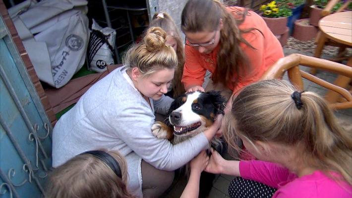 "Die Wollnys": Silvia greift durch