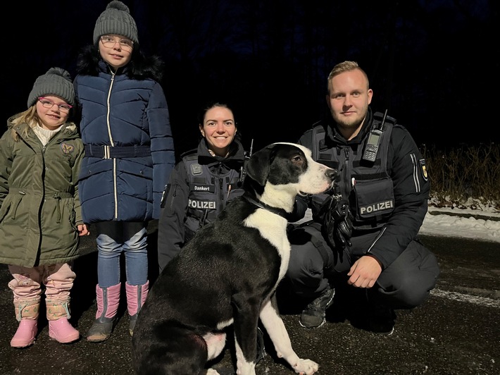 POL-HRO: Hund durch Polizeikräfte aus dem Eis befreit