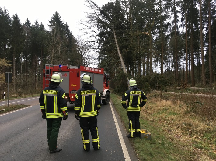 FW Lüchow-Dannenberg: Sturmtief "Nadia" verschont auch Lüchow-Dannenberg nicht