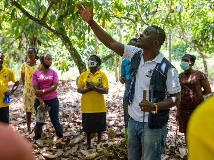 Kakao-Kooperative in Ghana_c_Fairpicture-Nipah Dennis_Fairtrade_800x600.jpg