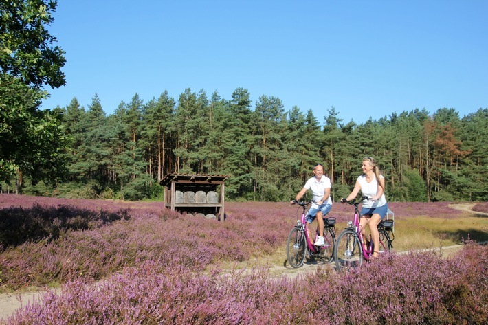 Eine Radtour zur Heideblüte ist ein besonderes Erlebnis. Durch die günstige Witterung wird der Farbzauber in der Lüneburger Heide dieses Jahr wohl besonders prächtig ausfallen. Weiterer Text über ots und www.presseportal.de/nr/145675 / Die Verwendung dieses Bildes ist für redaktionelle Zwecke honorarfrei. Veröffentlichung bitte unter Quellenangabe: "obs/HeideRegion Uelzen e.V./Jürgen Clauß, HeideRegion Uelzen"