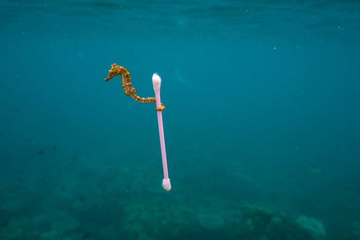 Deutschlandpremiere: National Geographic-Ausstellung &quot;Planet or Plastic?&quot; will Bewusstsein für das Problem Plastikmüll stärken / Ab 30. April vier Monate lang in Oldenburg zu sehen