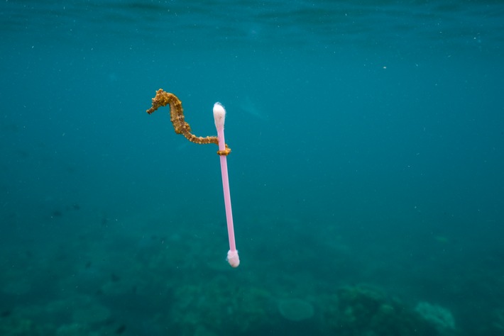 Deutschlandpremiere: National Geographic-Ausstellung "Planet or Plastic?" will Bewusstsein für das Problem Plastikmüll stärken / Ab 30. April vier Monate lang in Oldenburg zu sehen