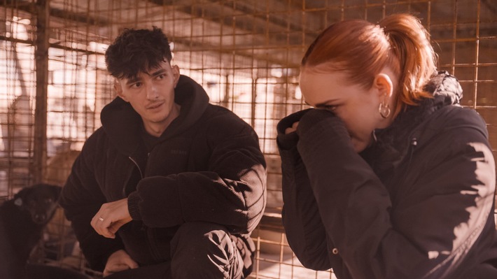Rumänien schließt Tiertötungsstationen in Folge von Dreharbeiten zur ProSieben- und Joyn-Doku "Die Hunde-Mafia" mit Creator Nathan Goldblat