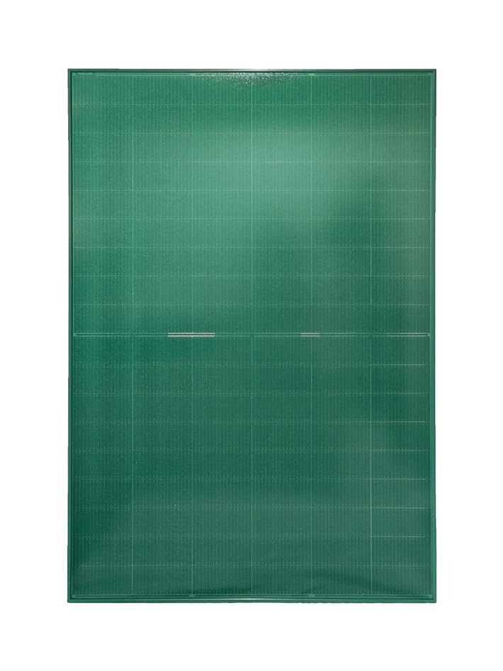 FuturaSun Silk® Nova Green Duetto / Das grüne Doppelglasmodul