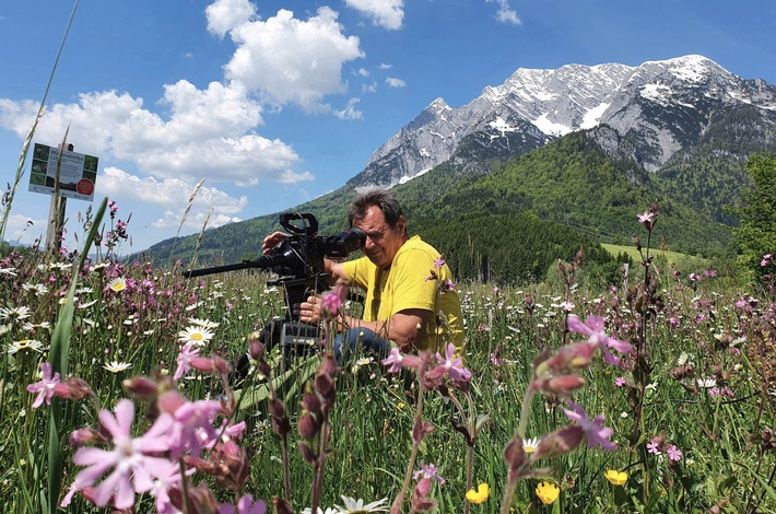 Ameisenbläuling und Steirischer Fanghaft: 3sat zeigt Doku "Geheimnisvolle Wiesenwelt"